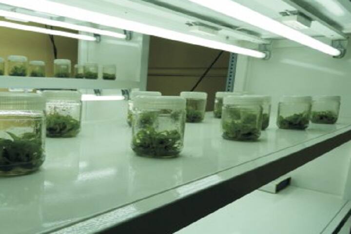 Yashodeep Samajik Vikas Sanstha's College of Agricultural Biotechnology campus in Thane, Maharashtra, India — photo 4