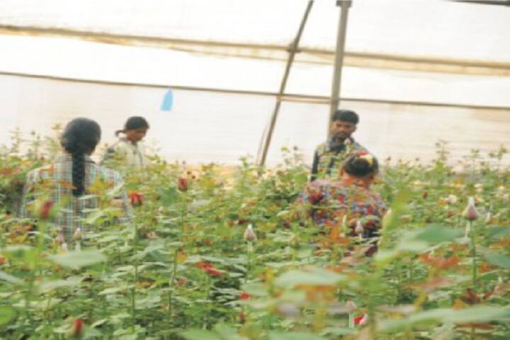 Yashodeep Samajik Vikas Sanstha's College of Agricultural Biotechnology campus in Thane, Maharashtra, India — photo 5