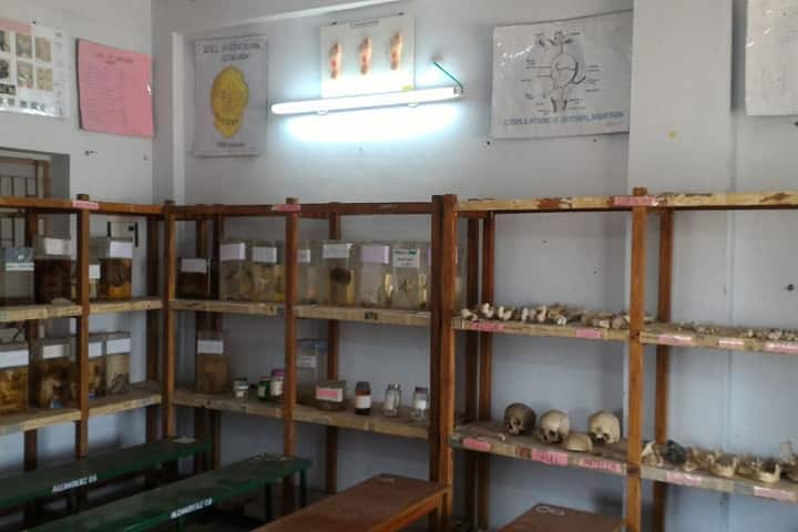 Government Homoeopathic Medical College and Hospital campus in Madurai, Tamil Nadu, India — photo 2