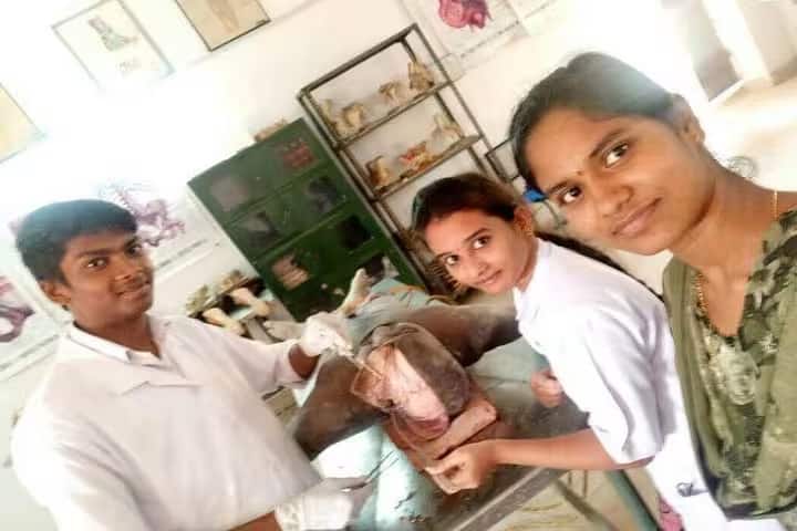 Dr Allu Ramalingaiah Government Homeopathic Medical College campus in Rajahmundry, Andhra Pradesh, India — photo 3