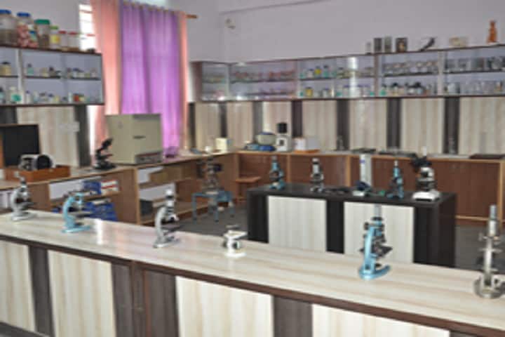 Matsya PG College campus in Bansur, Rajasthan, India — photo 6