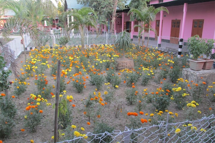 Nirmal Haloi College campus in Guwahati, Assam, India — photo 3