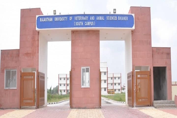College of Veterinary and Animal Sciences, Udaipur campus in Vallabhnagar, Rajasthan, India