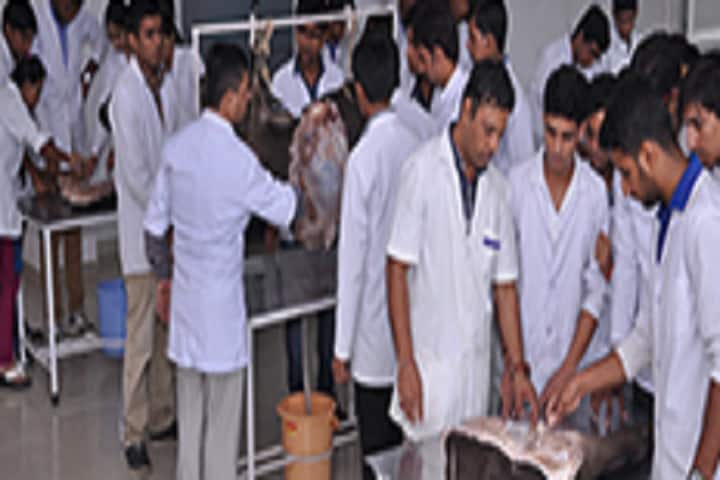 College of Veterinary and Animal Sciences campus in Vallabhnagar, Rajasthan, India — photo 4