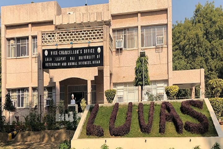 Lala Lajpat Rai University of Veterinary and Animal Sciences campus in Hisar, Haryana, India — photo 2