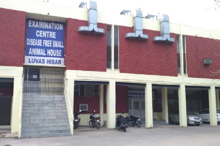 Lala Lajpat Rai University of Veterinary and Animal Sciences campus in Hisar, Haryana, India — photo 3