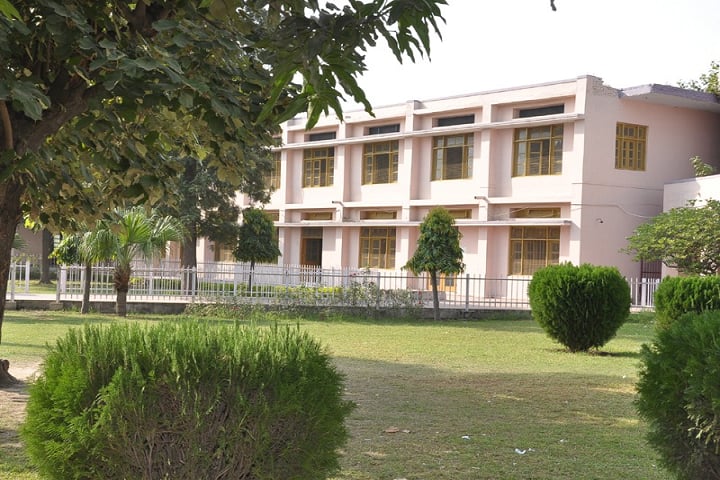 DAV College campus in Ambala, Haryana, India — photo 4