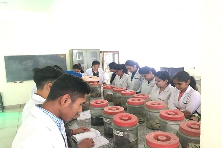DAV Institute of Physiotherapy and Rehabilitation campus in Jalandhar, Punjab, India — photo 5