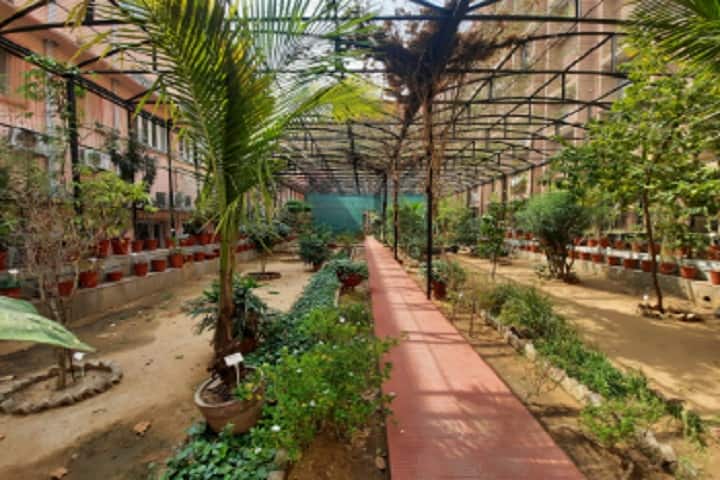 NIA Jaipur campus in Jaipur, Rajasthan, India — photo 5