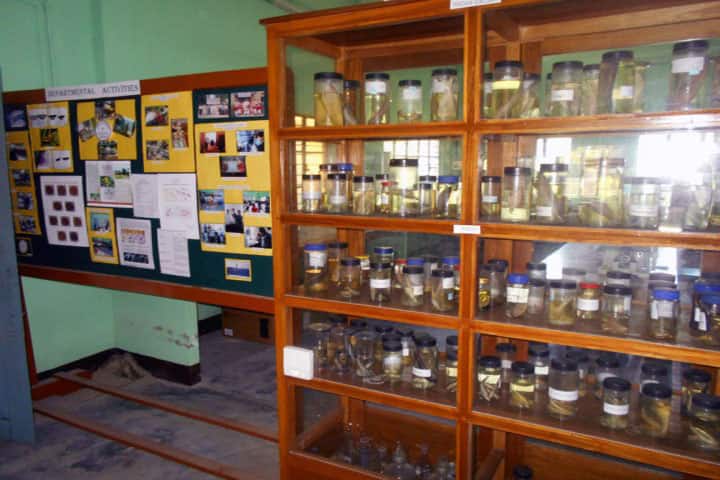 Lakhimpur Telahi Kamalabaria College campus in Lakhimpur, Assam, India — photo 4