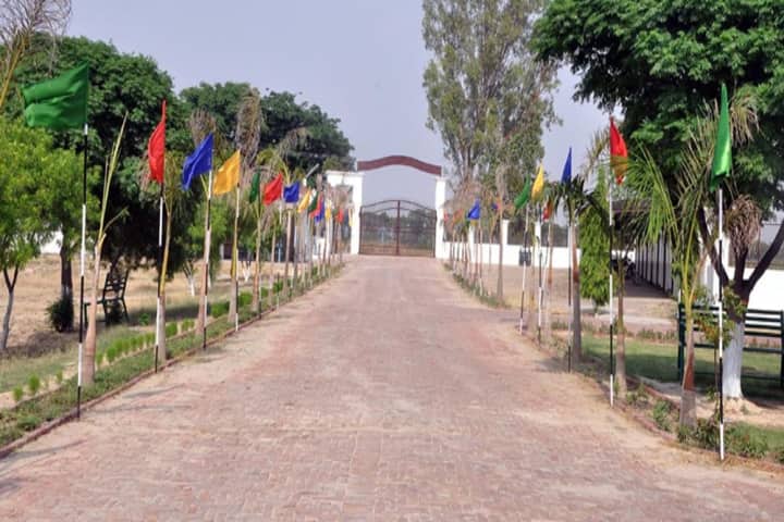 The Royal Group of Colleges campus in Mansa, Punjab, India — photo 1