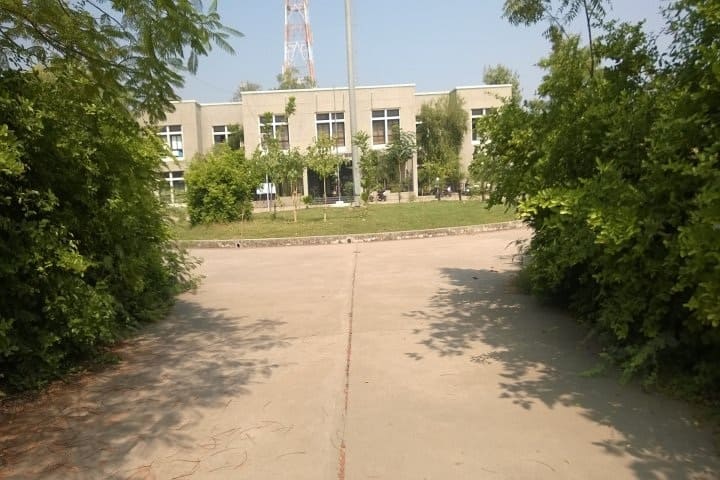 GEC Bharuch campus in Bharuch, Gujarat, India — photo 1