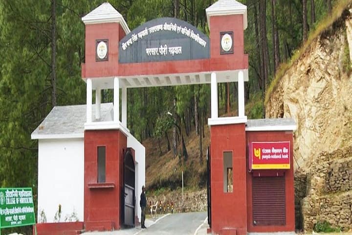 Veer Chandra Singh Garhwali Uttarakhand University of Horticulture and Forestry, Bharsar campus in Bharsar, Uttarakhand, India