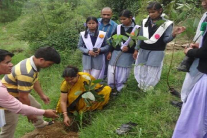 Veer Chandra Singh Garhwali Uttarakhand University of Horticulture and Forestry campus in Bharsar, Uttarakhand, India — photo 4