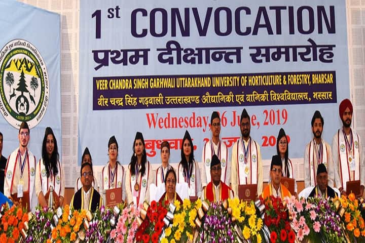 Veer Chandra Singh Garhwali Uttarakhand University of Horticulture and Forestry campus in Bharsar, Uttarakhand, India — photo 6