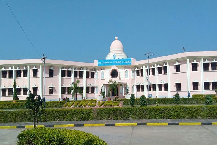 NTR College of Veterinary Science, Gannavaram campus in Gannavaram, Andhra Pradesh, India