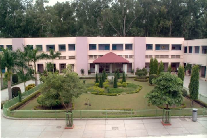 DAV College, Jalandhar campus in Jalandhar, Punjab, India