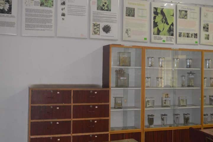 Government Homeopathic Medical College and Hospital campus in Bangalore, Karnataka, India — photo 3