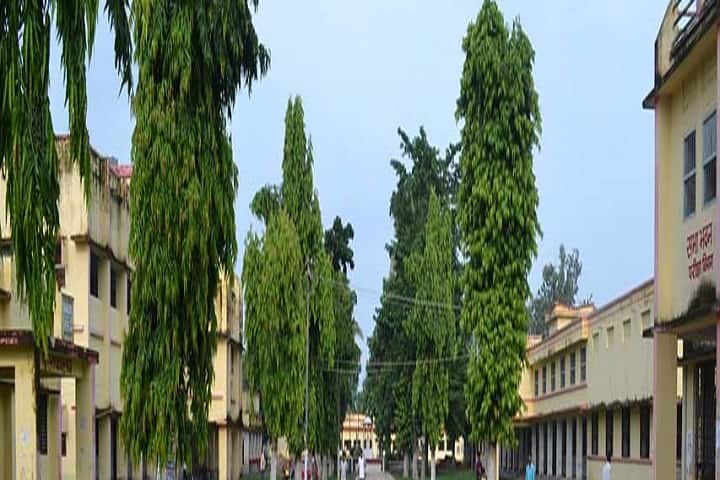Thakur Prasad College campus in Madhepura, Bihar, India — photo 2