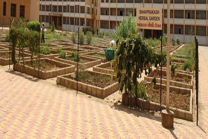 State Model Institute of Ayurveda Sciences campus in Gandhinagar, Gujarat, India — photo 3