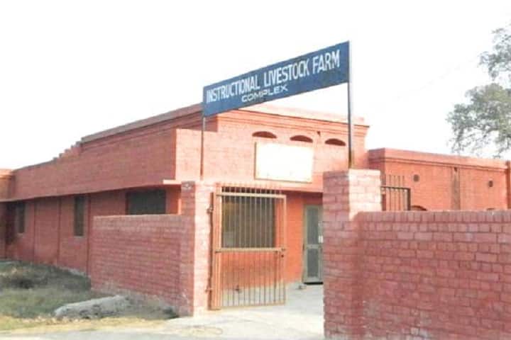 Khalsa College of Veterinary and Animal Science campus in Amritsar, Punjab, India — photo 6