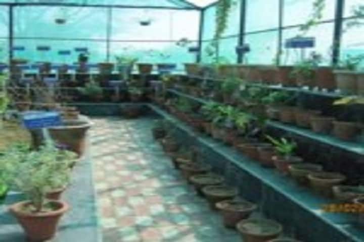 Chaudhary Brahm Prakash Ayurved Charak Sansthan campus in New Delhi, Delhi, India — photo 3
