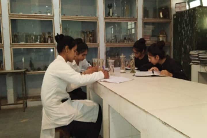 Shri Kalyan Government PG College campus in Sikar, Rajasthan, India — photo 4