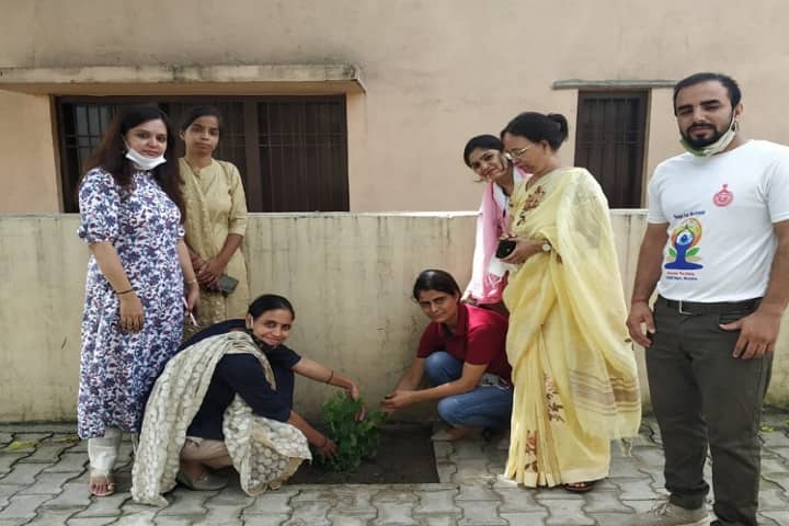 Government College campus in Farukh Nagar, Haryana, India — photo 5