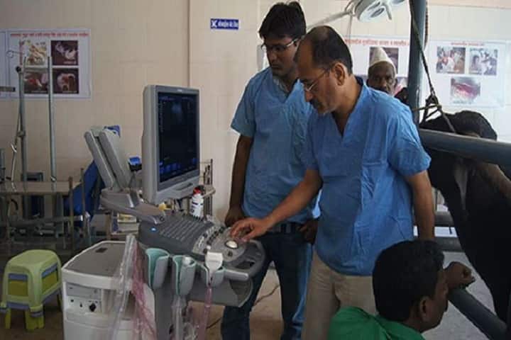 College of Veterinary and Animal Sciences campus in Udgir, Maharashtra, India — photo 3