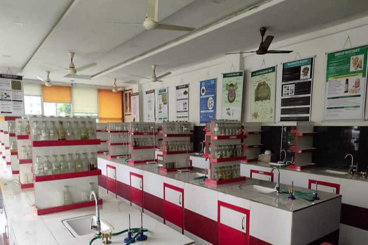 SNBP College of Pharmacy campus in Pune, Maharashtra, India — photo 4