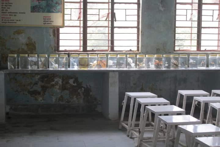 Government Autonomous Ayurveda College and Hospital campus in Rewa, Madhya Pradesh, India — photo 2