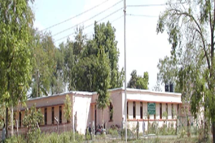 Government Autonomus Dhanwantri Ayurveda College and Hospital campus in Ujjain, Madhya Pradesh, India — photo 2