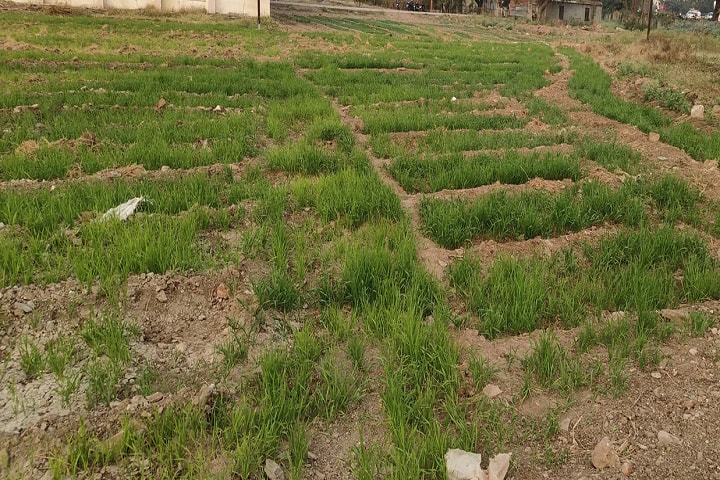 College of Agriculture campus in Barshi, Maharashtra, India — photo 3