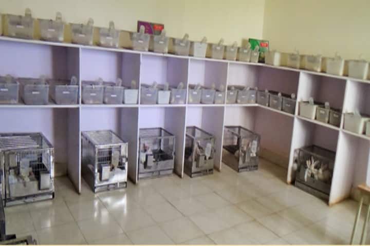 Chalapathi Institute of Pharmaceutical Sciences campus in Guntur, Andhra Pradesh, India — photo 2