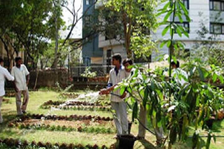 Bharati Vidyapeeth Deemed University College of Ayurved campus in Pune, Maharashtra, India — photo 4