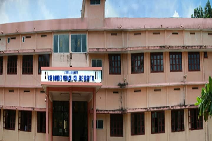 ANSS Homoeo Medical College campus in Kottayam, Kerala, India — photo 2