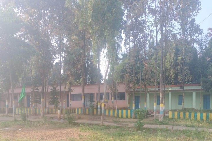 Indira Memorial College campus in Chandhiphut, Odisha, India — photo 2