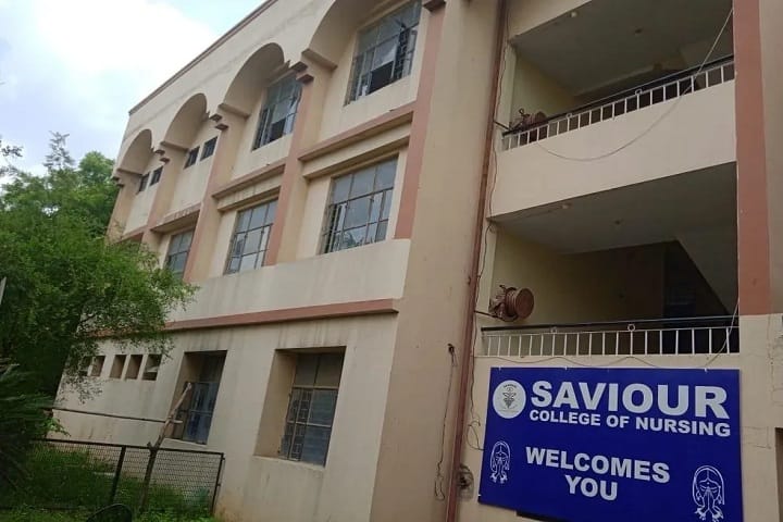 Saviour College of Nursing campus in New Delhi, Delhi, India — photo 1