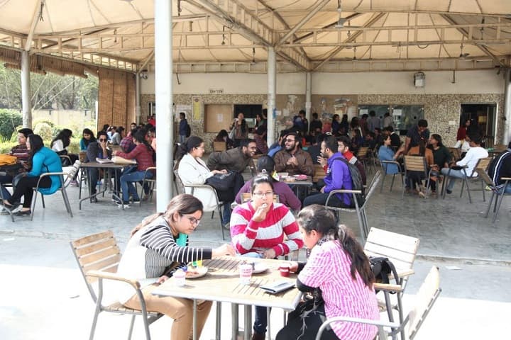 Vivekananda Institute of Professional Studies, Delhi (VIPS Delhi) campus in New Delhi, Delhi, India — photo 5