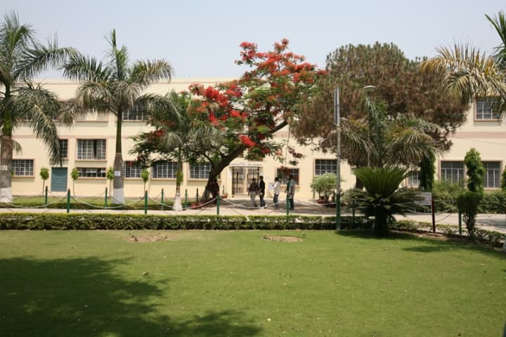 LKC campus in Jalandhar, Punjab, India — photo 3