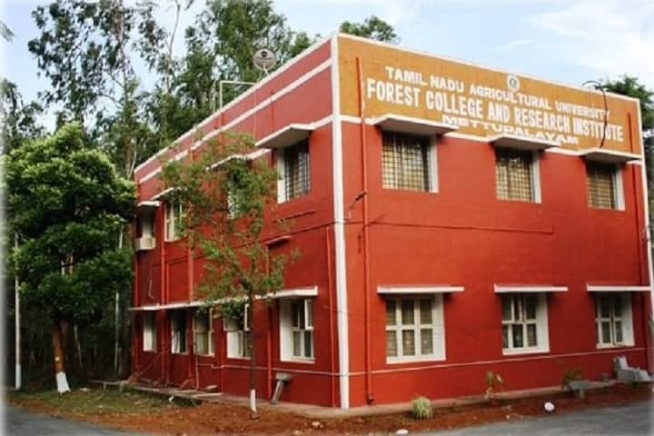 Forest College and Research Institute, Mettupalayam campus in Mettupalayam, Tamil Nadu, India