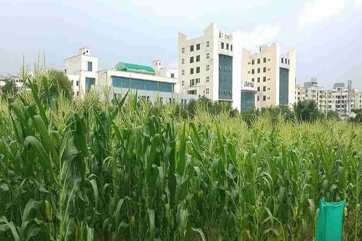 School of Agriculture campus in Jaipur, Rajasthan, India — photo 1