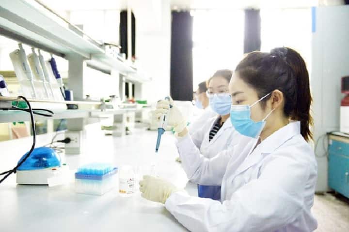 Matrix SkillTech University, Geyzing campus in Geyzing, Sikkim, India