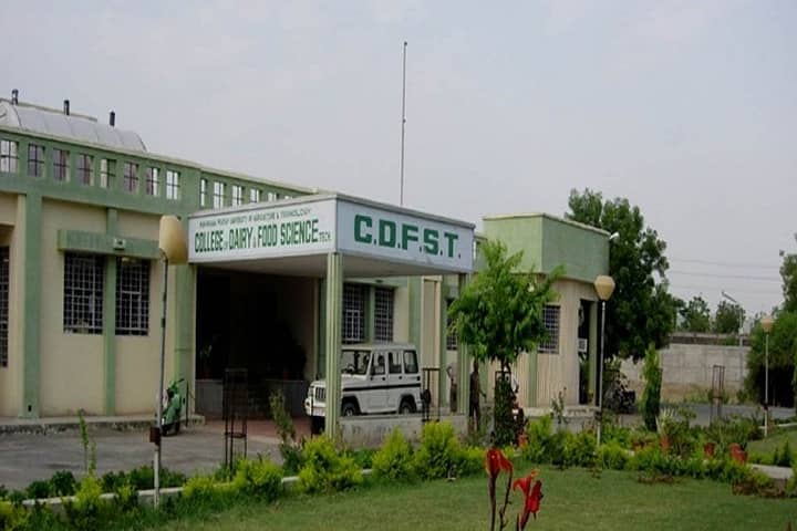 CDFST Udaipur campus in Udaipur, Rajasthan, India — photo 1