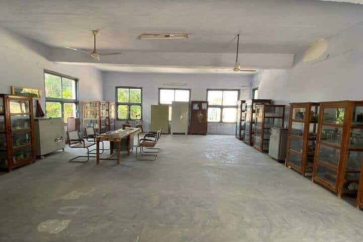 RSD College campus in Ferozepur, Punjab, India — photo 4