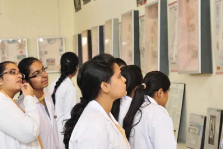 Maharishi Markandeshwar College of Nursing campus in Mullana, Haryana, India — photo 6
