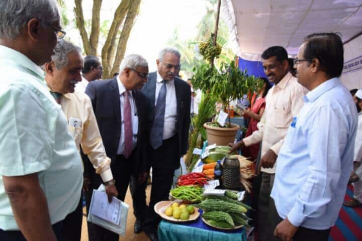 Keladi Shivappa Nayaka University of Agricultural and Horticultural Sciences campus in Shivamogga, Karnataka, India — photo 2