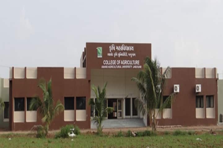 College of Agriculture, Anand Agricultural University, Jabugam campus in Jabugam, Gujarat, India