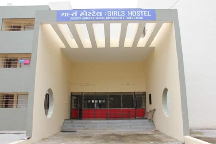 Sheth DM Polytechnic in Horticulture campus in Vadodara, Gujarat, India — photo 3