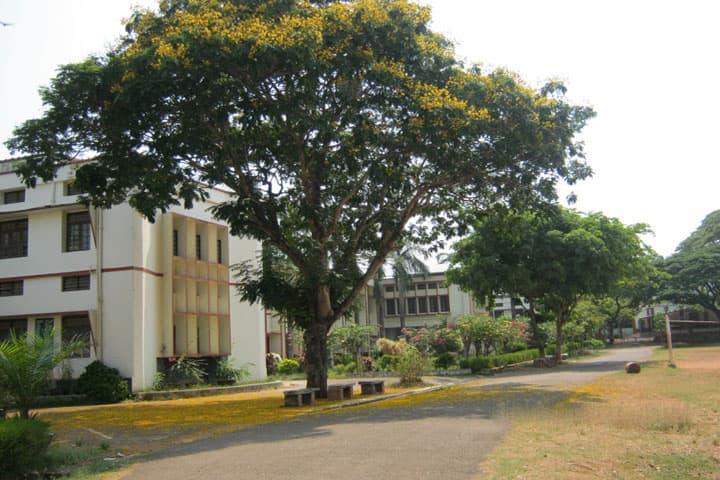 St Aloysius College campus in Thrissur, Kerala, India — photo 1